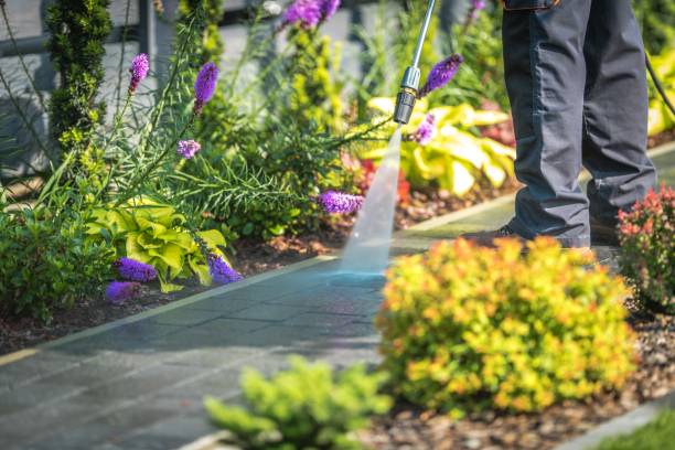 Best Gutter Cleaning  in Ventnor City, NJ
