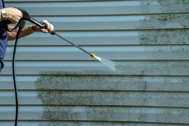 Professional Pressure Washing in Ventnor City, NJ